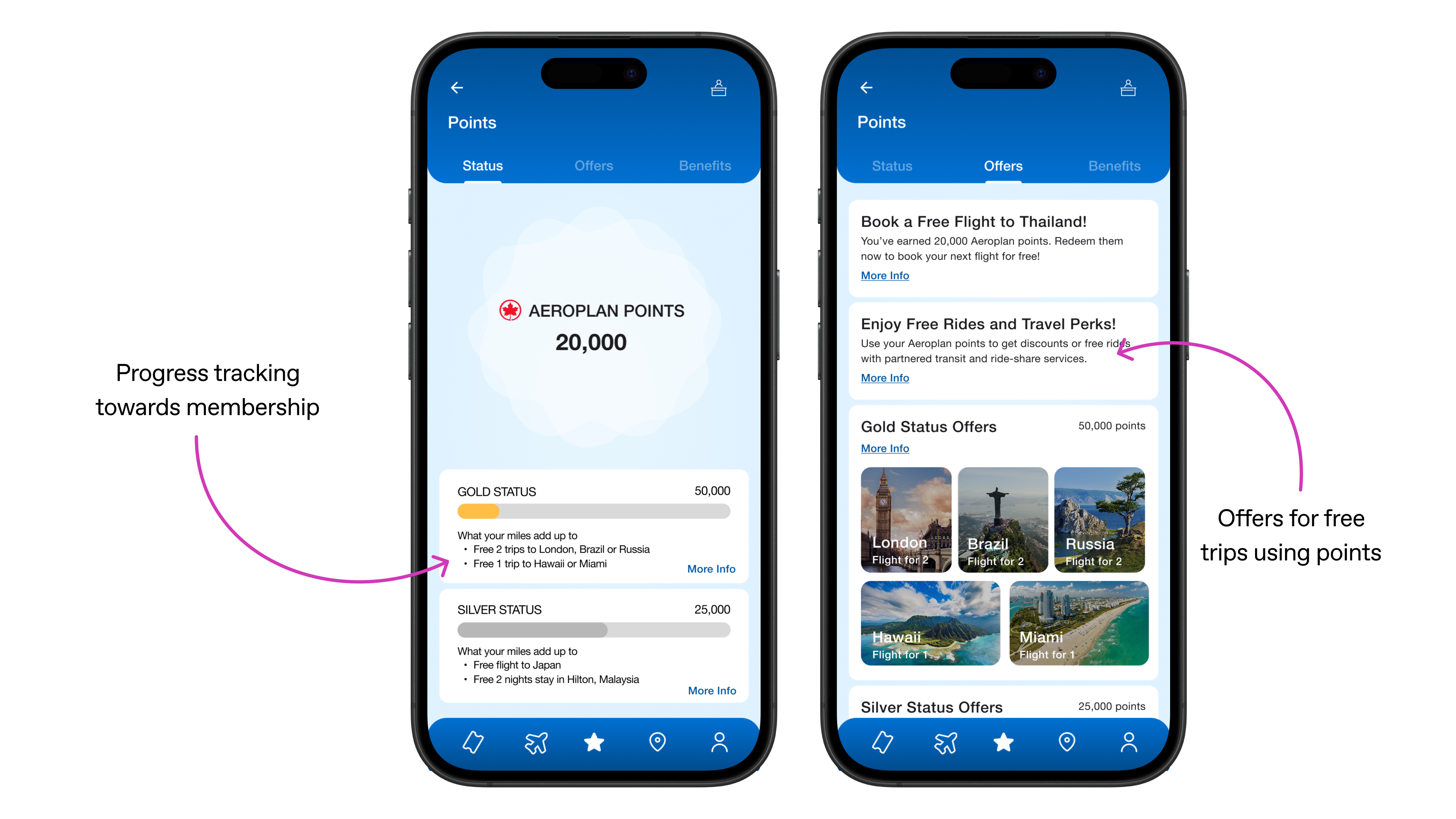 Airline Progress and Loyalty Points