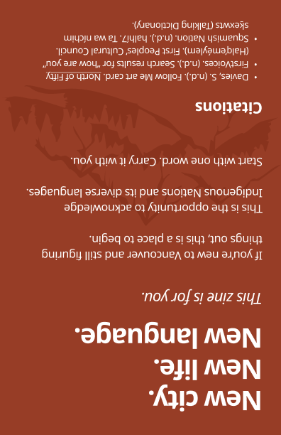 Vision of Zine